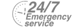 24/7 Emergency Service Pest Control in Raynes Park, South Wimbledon, SW20. Call Now! 020 8166 9746