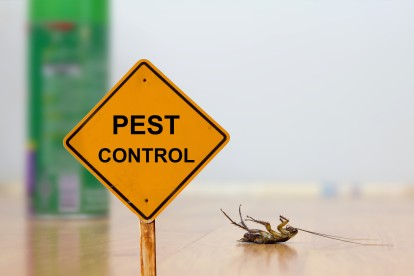 Pest Contol in Raynes Park, South Wimbledon, SW20. Call Now 020 8166 9746